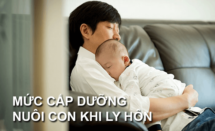 Các yếu tố ảnh hưởng đến mức cấp dưỡng nuôi con